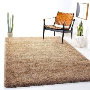 best carpet for living room in India