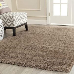 affordable carpet for living room