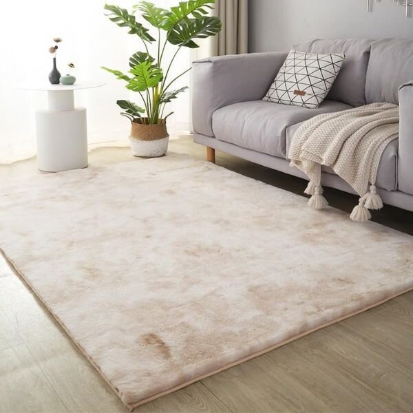 affordable carpet for living room